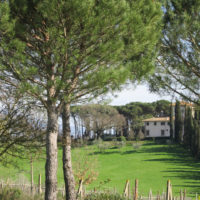 Poggio Francoli