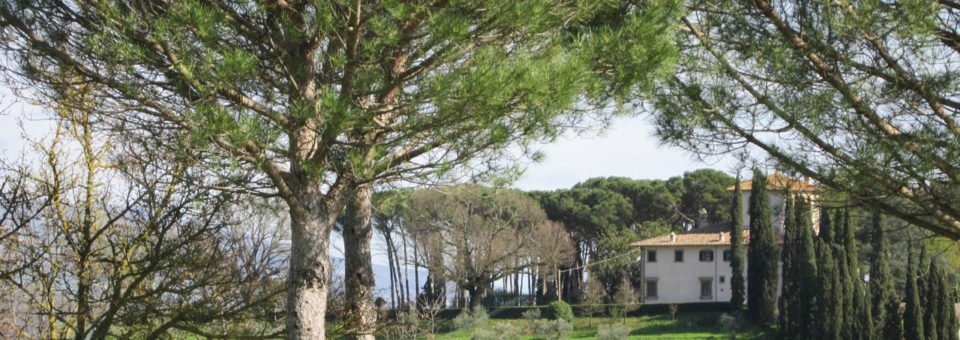 Poggio Francoli