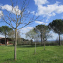 La Cascina