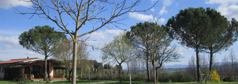 La Cascina