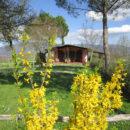 La Poggiolina