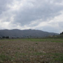 Poggio Firenze