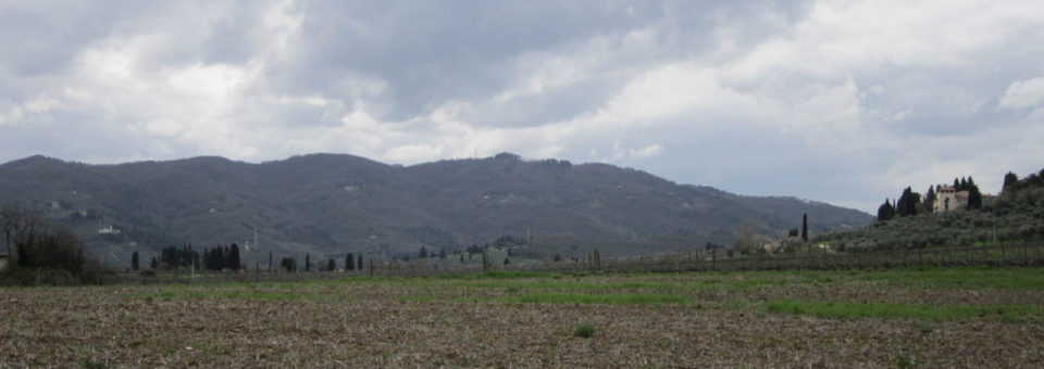 Poggio Firenze