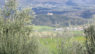 Sammezzano