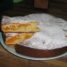 Torta alle albicocche